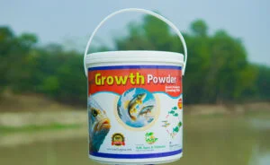 গ্রোথ পাউডার ৩ কেজি বালতি